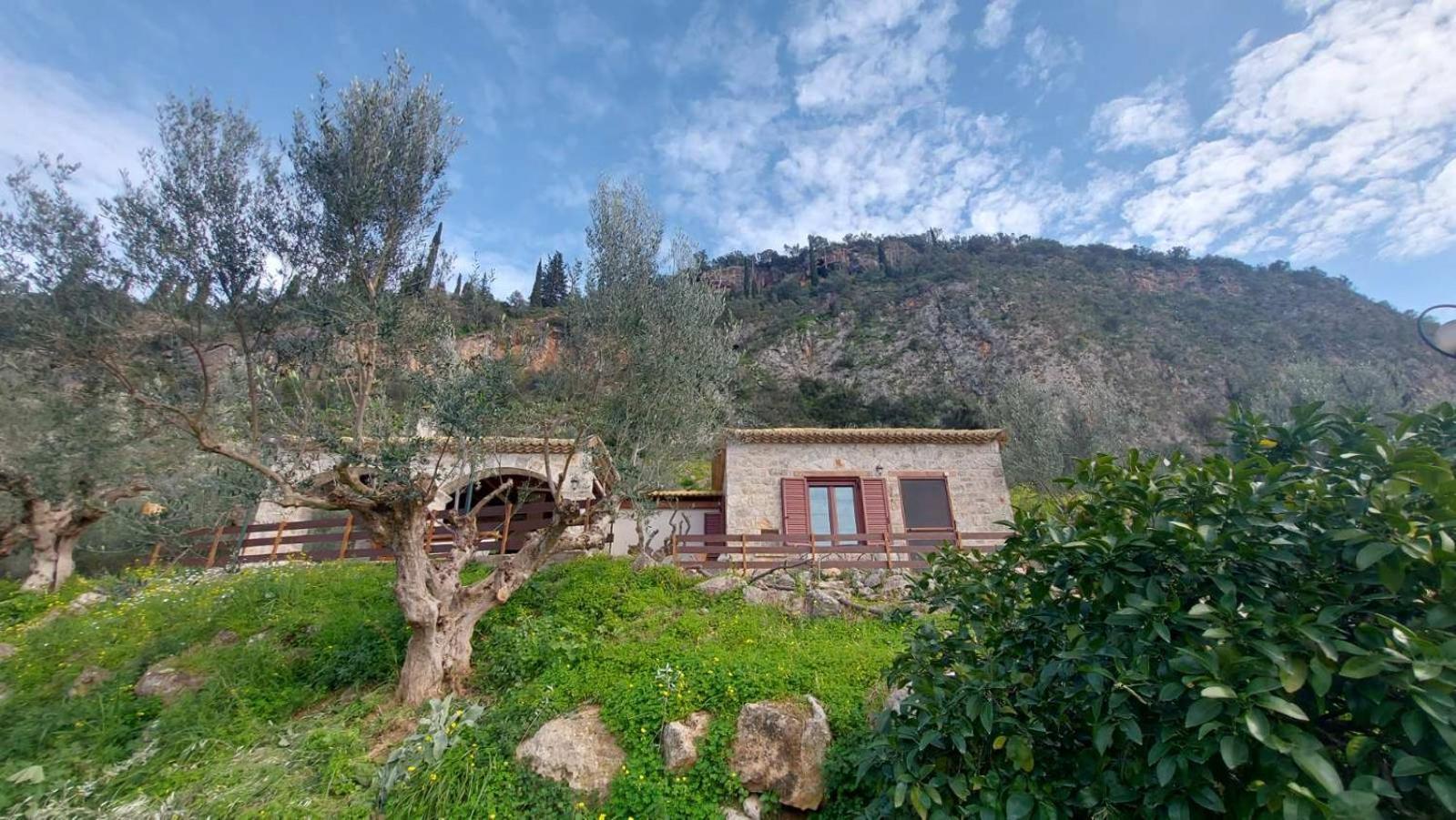 Homonatura Petrinum Holiday home Ariokhorion